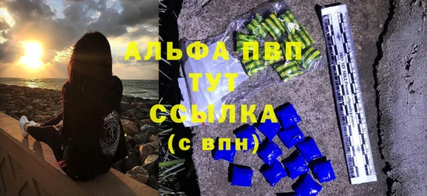 ГАЛЛЮЦИНОГЕННЫЕ ГРИБЫ Гусев