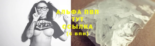 ГАЛЛЮЦИНОГЕННЫЕ ГРИБЫ Гусев