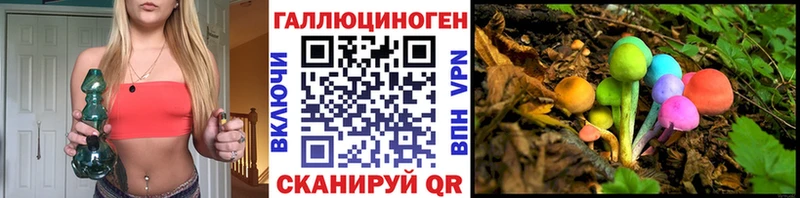 Купить  Клинцы  Галлюциногенные грибы GOLDEN TEACHER 